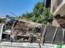 Best Garage Cleanout  in Pine Mountain Lake, CA